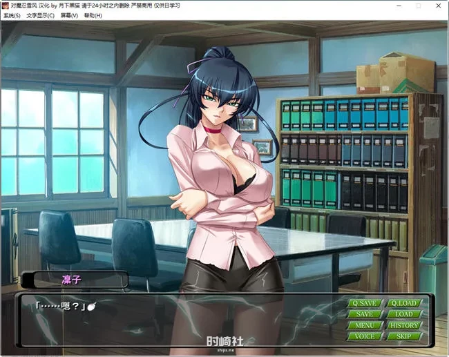 【对魔忍雪风】 润色精翻汉化完整版 【900M】 PC游戏 第2张