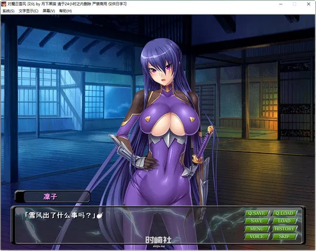 【对魔忍雪风】 润色精翻汉化完整版 【900M】 PC游戏 第3张