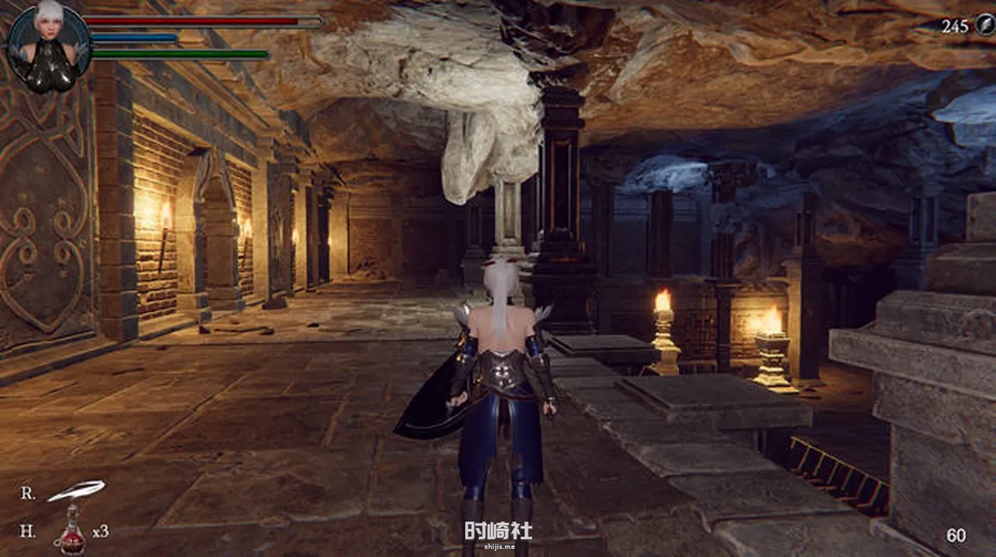 【3D动作冒险游戏】地下城的女骑士 DL官方中文解码版【1.9G】 电脑游戏 第2张