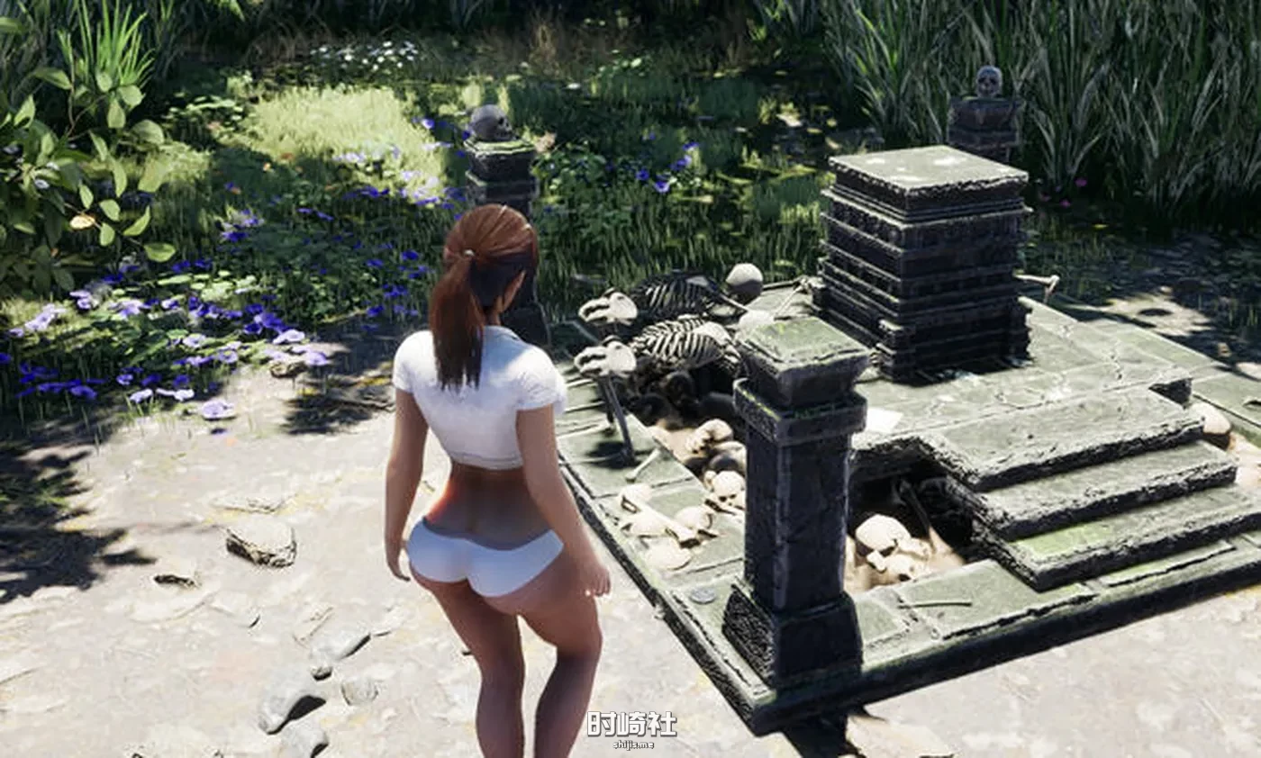 【动作冒险游戏&劳拉外传】阳光下的野兽(Beasts in the sun) V7 英文版【15G】 PC游戏 第2张