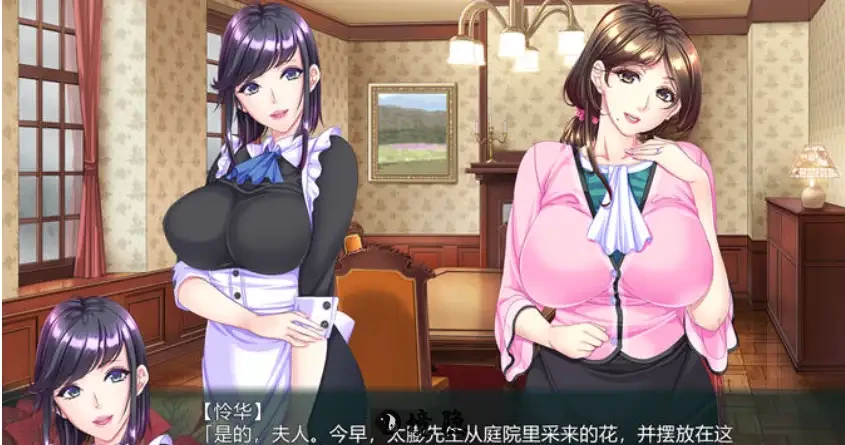 【日式ADV】蠢妇～微弱的滴落声～ 蠢牝～仄ちやう滴り～ AI汉化版+全CG存档 [2.50G] 电脑游戏 第2张