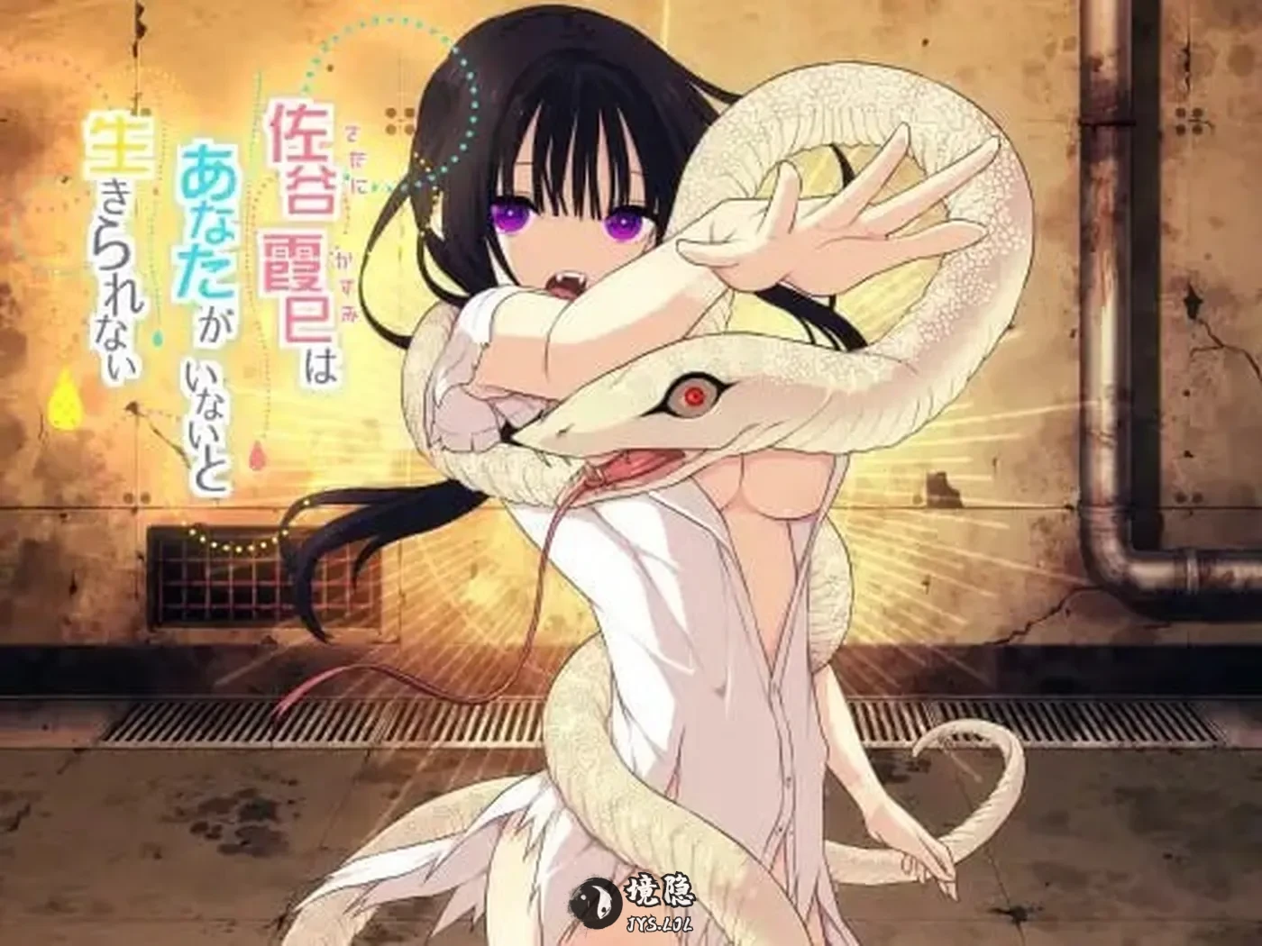 【精品RPG/背德】佐谷霞巳没有你就活不下去   V1.10 AI汉化版+全回想存档 [1.40G]